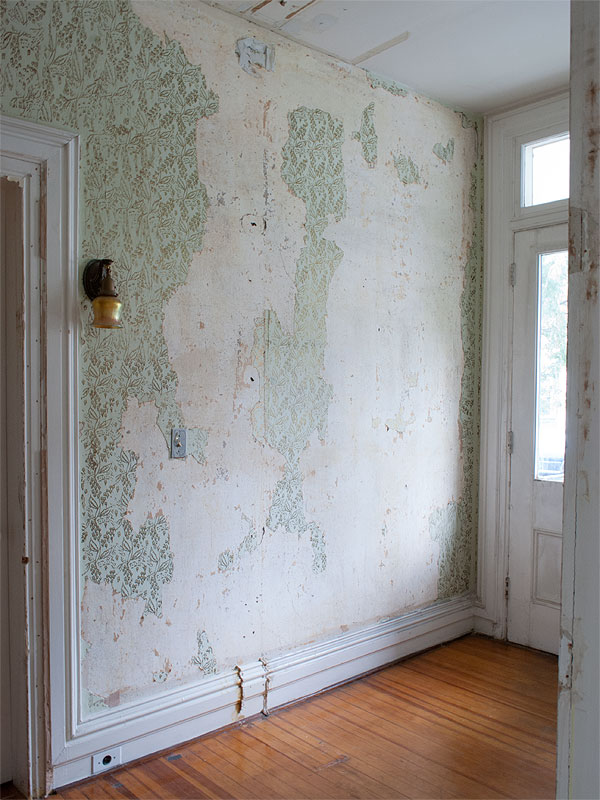 Removing Wallpaper Forever Daniel Kanter - Repairing Plaster Walls After Removing Wallpaper Uk